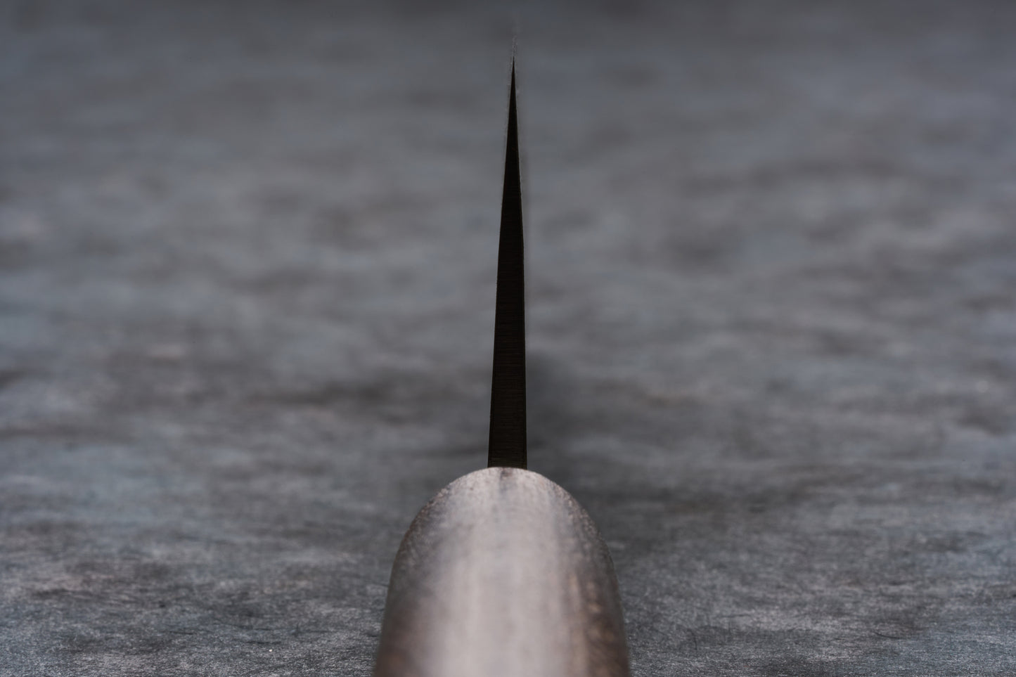 Fujimoto Nashiji Santoku 165mm knife viewed from spine; wooden handle in focus, metal blade tapering away, on grey surface; showcases craftsmanship blending carbon core with stainless steel, ideal for versatile kitchen tasks.