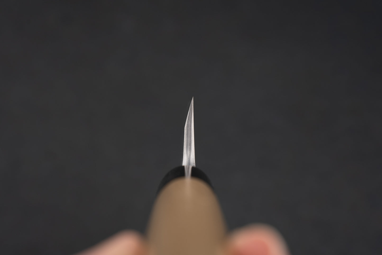 Shigefusa Kitaeji Deba 150mm from Shigefusa