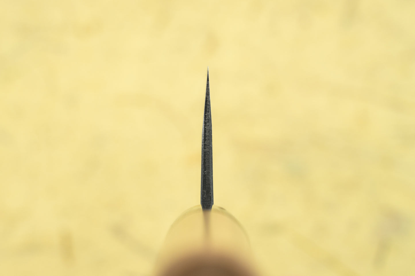 Yukihiro Sakai "Hinokuni" Shiroichi Bunka 180mm from Yukihiro Sakai