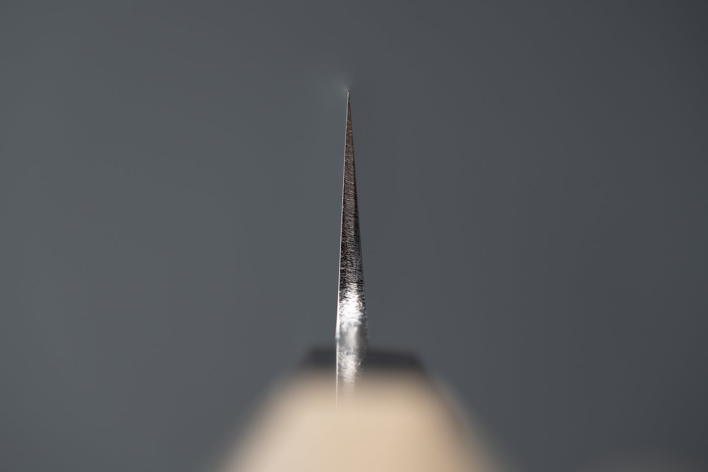 Yoshiaki Fujiwara (Kiyoshi Kato) Aoniko Migaki Sujihiki 210mm from Kiyoshi Kato