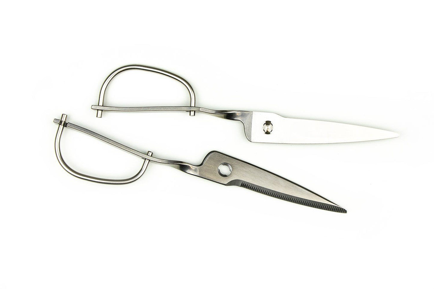 Toribe Kitchen Spatter Separable Kitchen Shears from Toribe