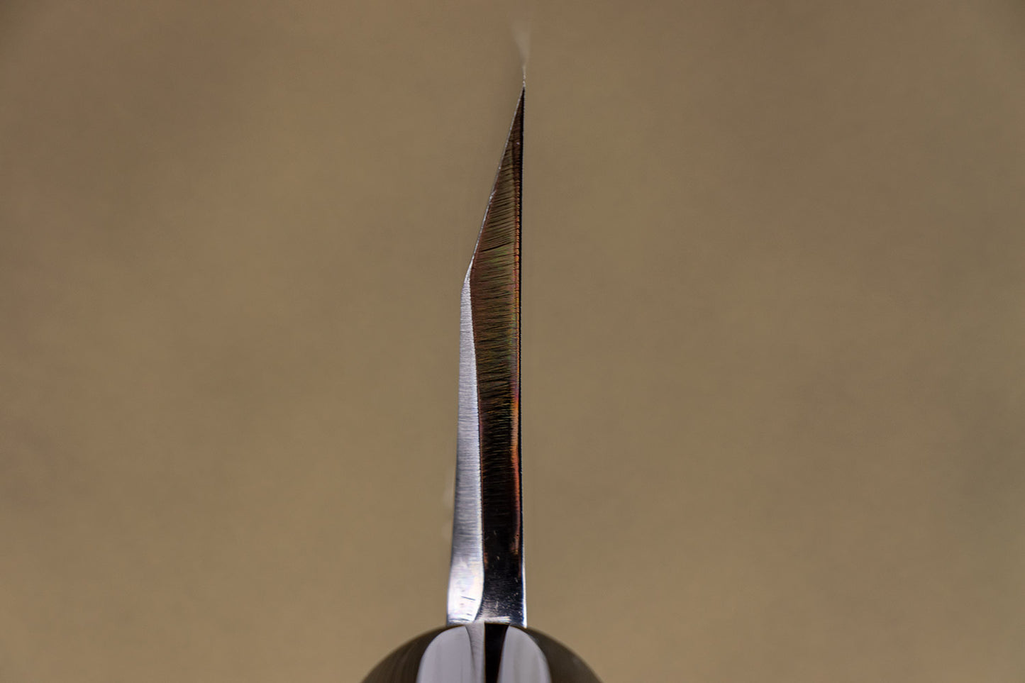 Sakai Kikumori Tomoshibi Deba 180mm from Sakai Kikumori