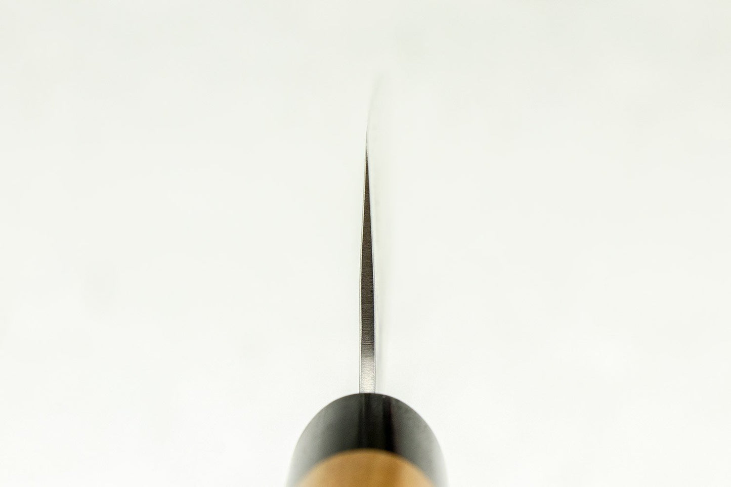 Haruyuki Kokuto Gyuto 240mm from Haruyuki