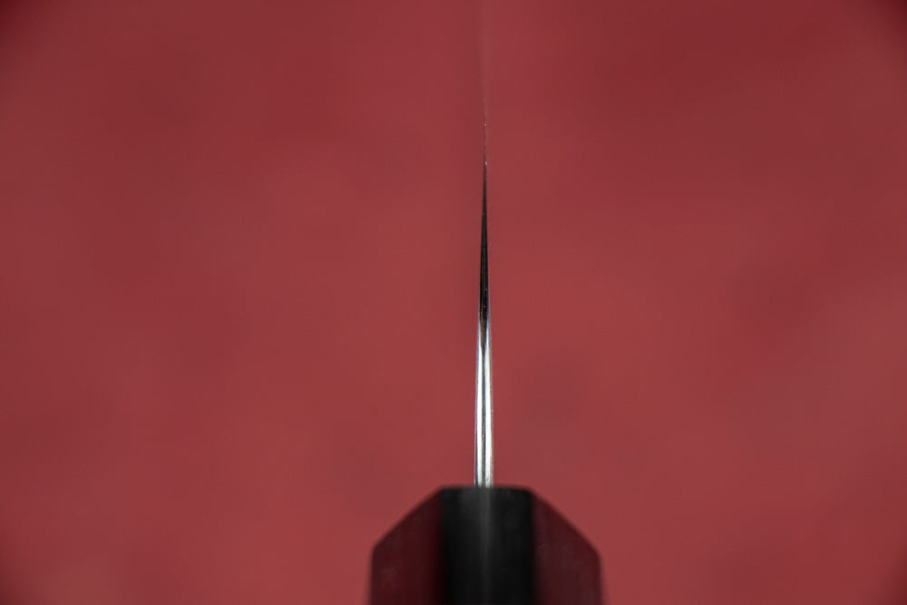 Shibata Koutetsu R2 Migaki Sujihiki 270mm from Koutetsu