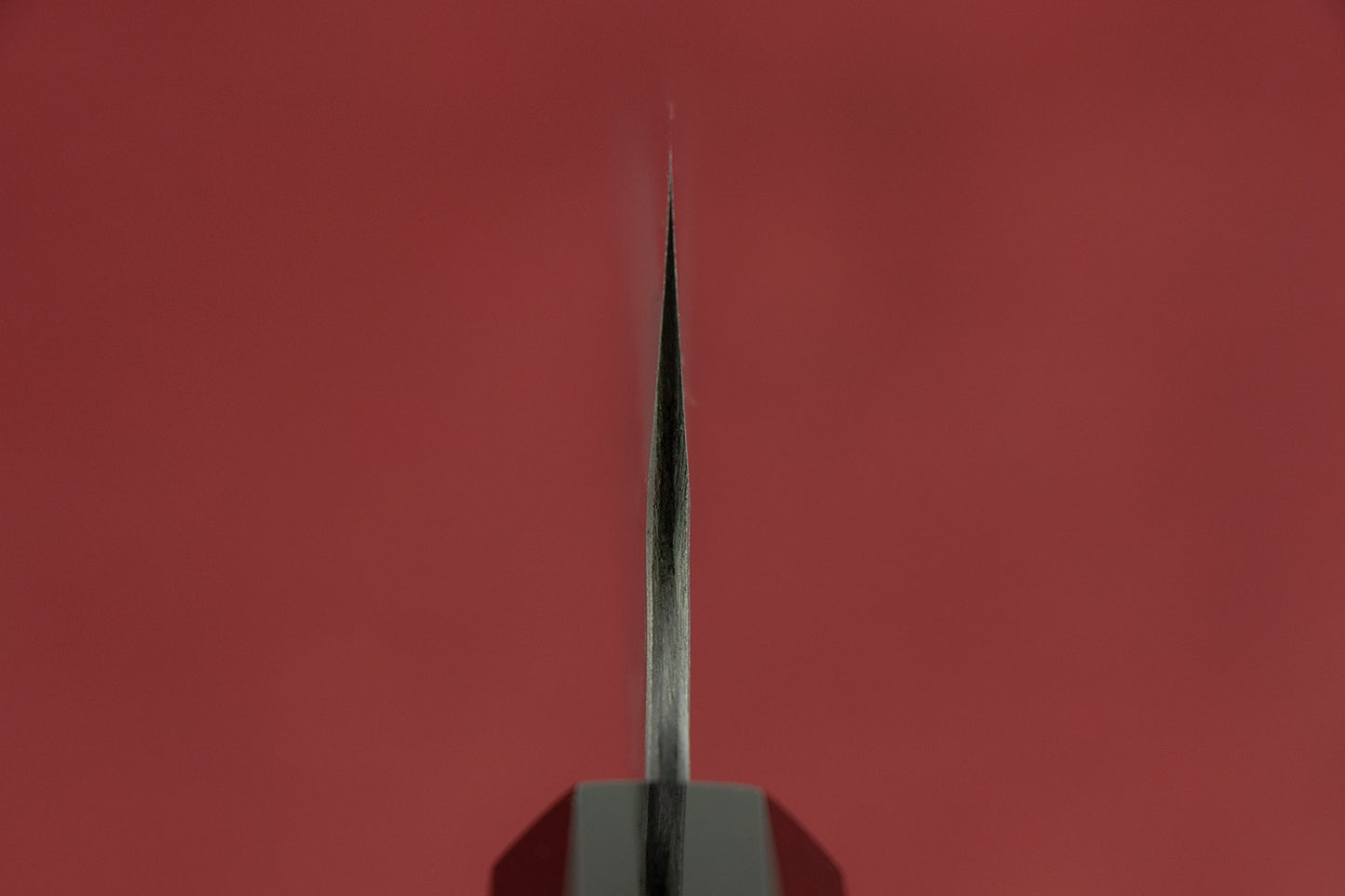 Nigara AS/S Tsuchime Kiritsuke Gyuto 210mm from Nigara Hamono