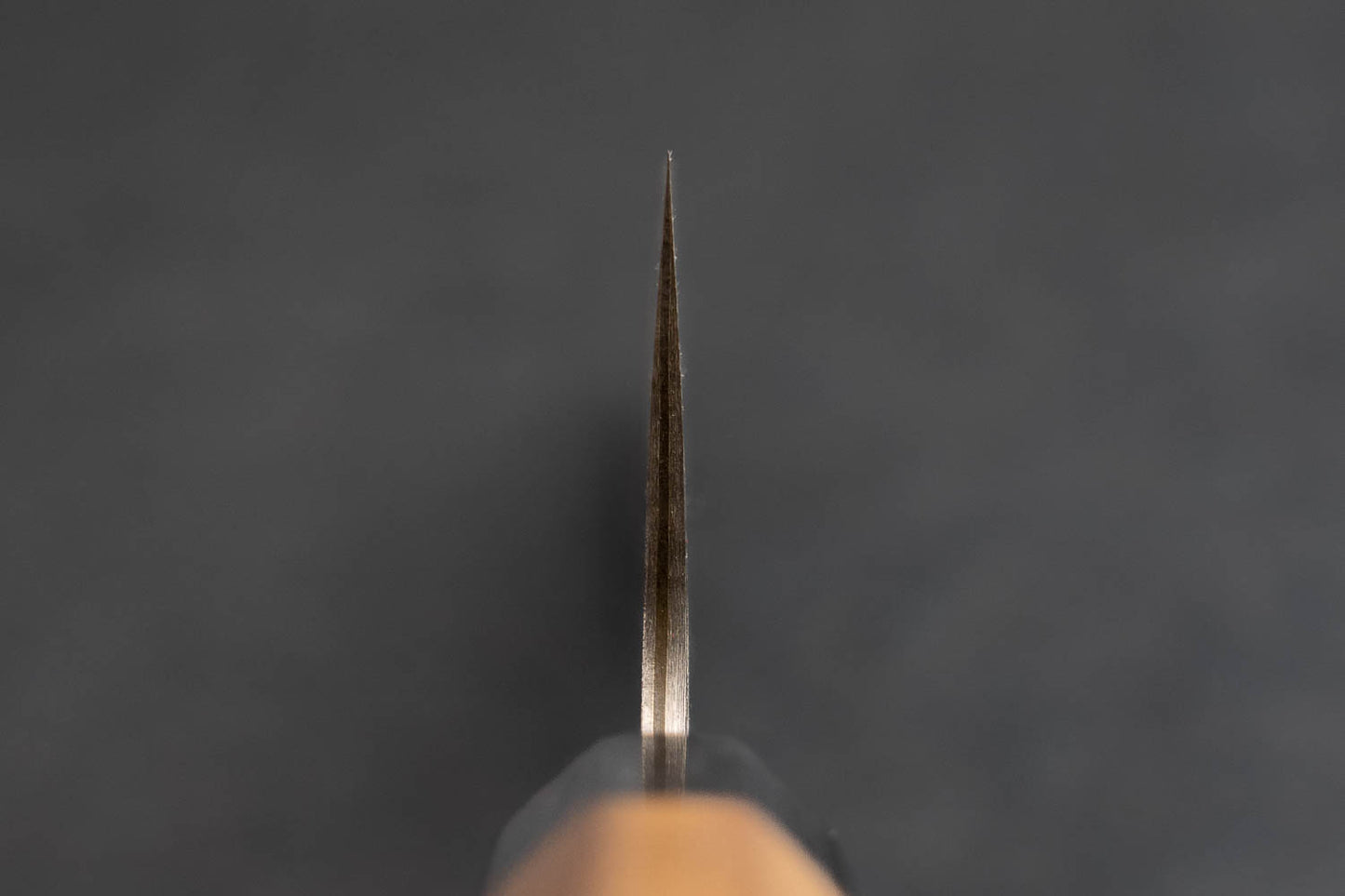Takeshi Saji R2 Nickel Damascus Wa Santoku 165mm from Takeshi Saji