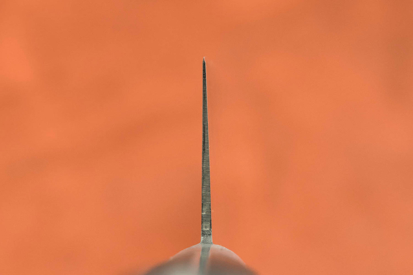 Sakai Takayuki SK4 Gyuto 210mm from Sakai Takayuki