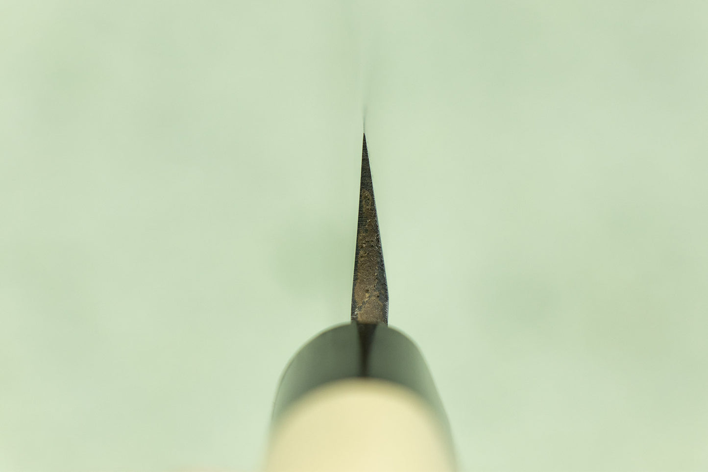 Sakai Takayuki Suigyu Kasumitogi Left Handed Yanagiba 270mm from Sakai Takayuki