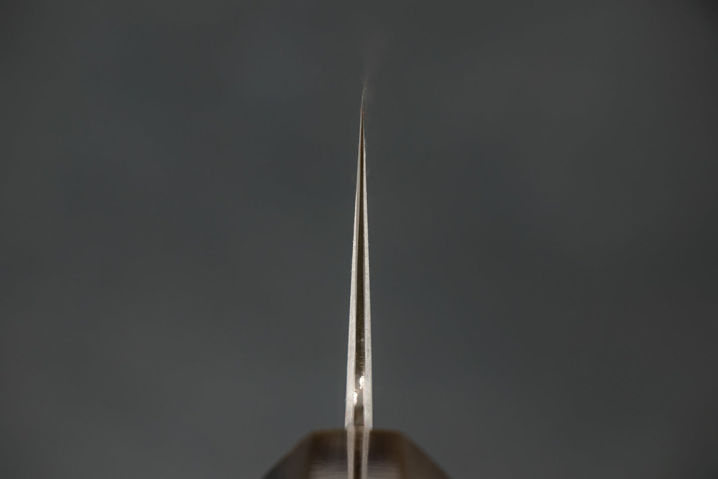 Tetsujin Hamono Aogami Tanryusen Gyuto 240mm from Tetsujin