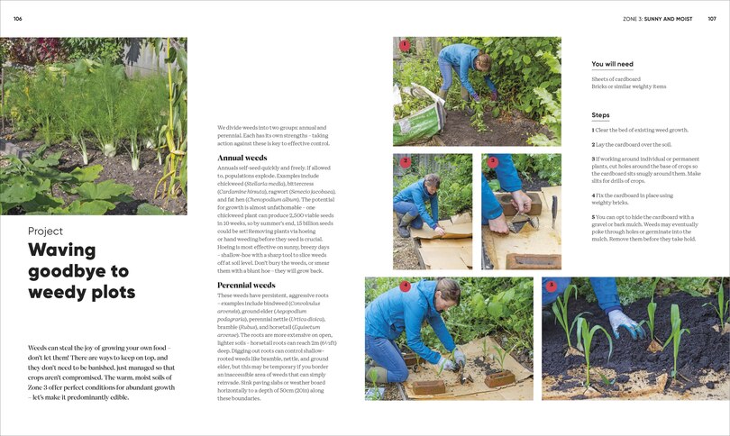 Grow Food Anywhere from Penguin Random house