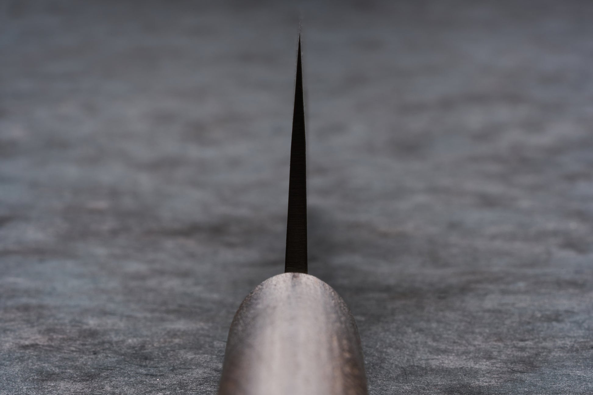 Fujimoto Nashiji Santoku 165mm knife viewed from spine; wooden handle in focus, metal blade tapering away, on grey surface; showcases craftsmanship blending carbon core with stainless steel, ideal for versatile kitchen tasks.