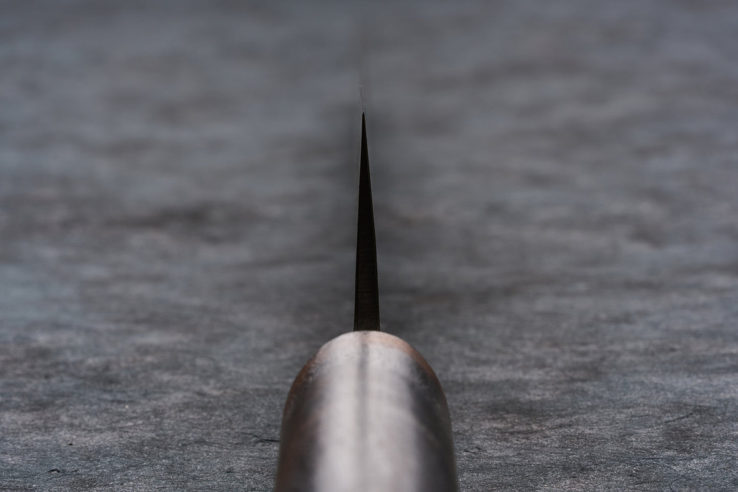 Fujimoto Nashiji Sujihiki 240mm knife, viewed straight-on, showcases its sharp carbon steel edge and traditional wa handle, expertly crafted for precision slicing, embodying Knifewear's dedication to premium Japanese blades.