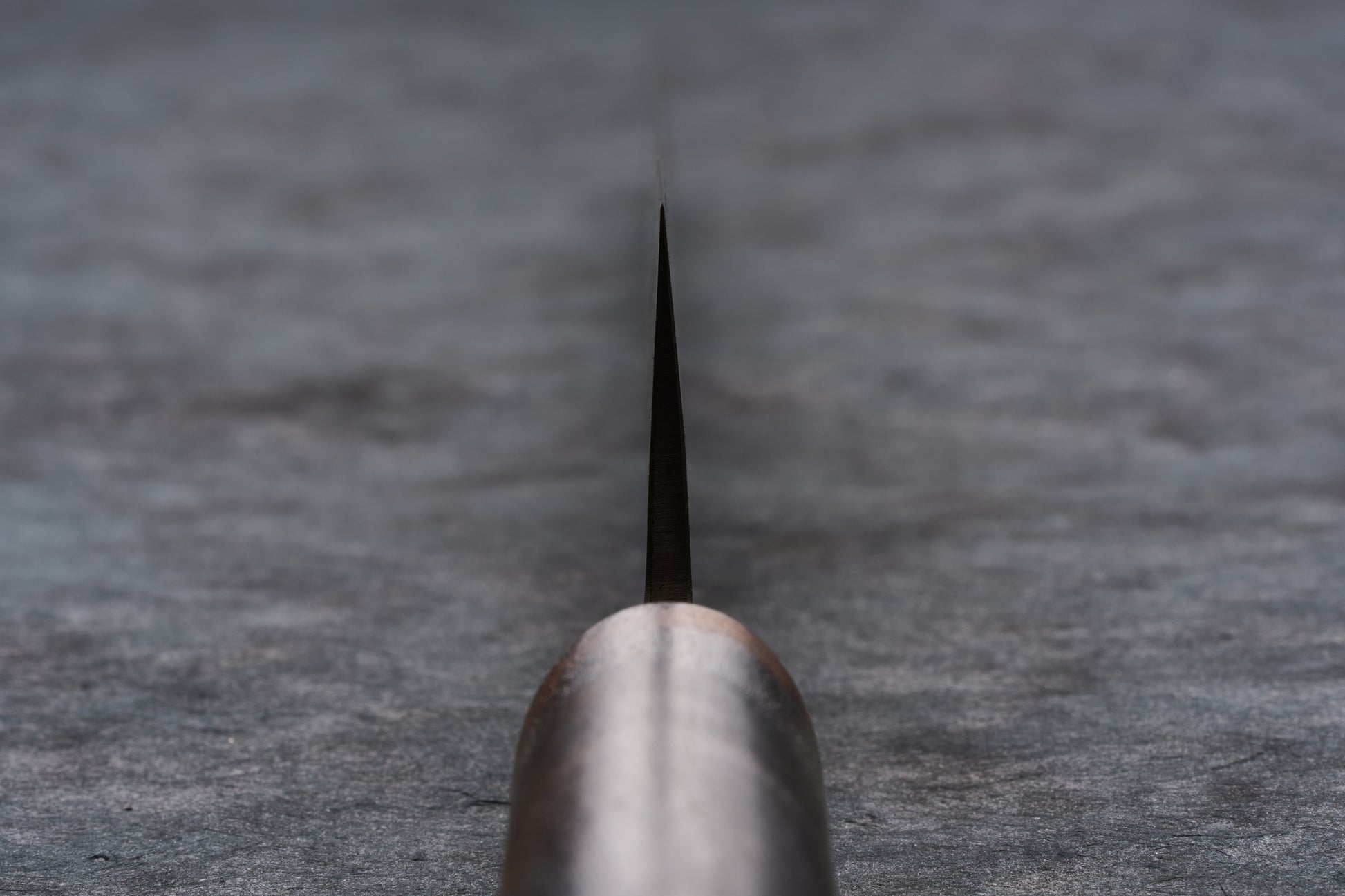 Fujimoto Nashiji Sujihiki 240mm knife, viewed straight-on, showcases its sharp carbon steel edge and traditional wa handle, expertly crafted for precision slicing, embodying Knifewear's dedication to premium Japanese blades.