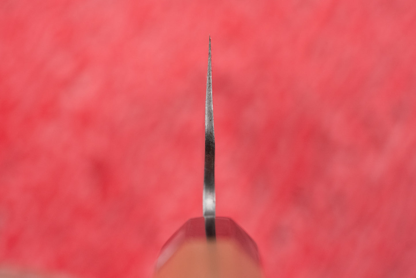 Close-up of the Fujiwara Maboroshi Wa Santoku 165mm knife's blade tip, showcasing its precision and craftsmanship. The wooden handle is faintly visible, emphasizing the knife's revered Japanese design.
