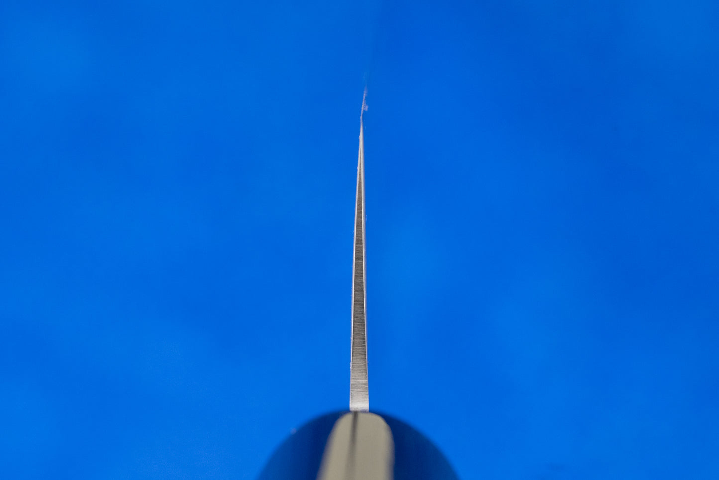 Masamoto MV Tachigata Sujihiki 255mm knife, viewed end-on along its spine, illustrating its precision-crafted, ultra-thin Molybdenum-Vanadium steel blade, ideal for slicing meats with ease.
