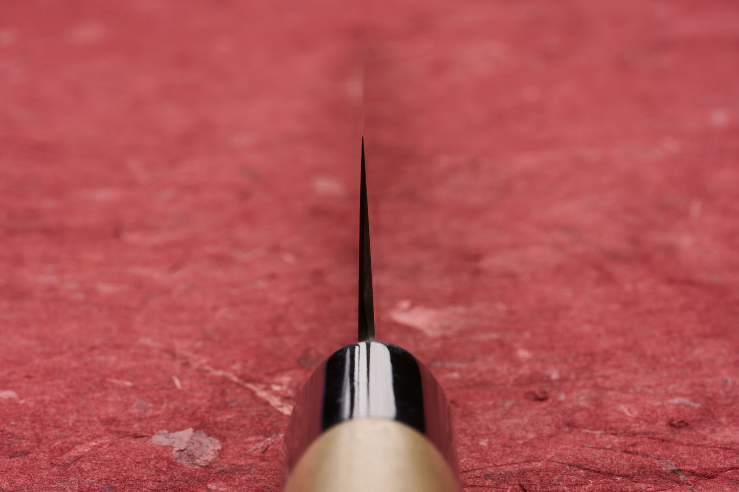 Macro shot of Masamoto KS Hongasumi Sujihiki 270mm knife, showing its ultra-thin blade extending from a light wood handle with a dark bolster, set against a textured red surface.