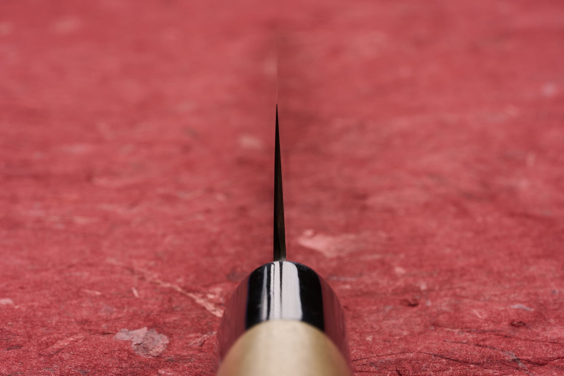 Macro shot of Masamoto KS Hongasumi Sujihiki 270mm knife, showing its ultra-thin blade extending from a light wood handle with a dark bolster, set against a textured red surface.
