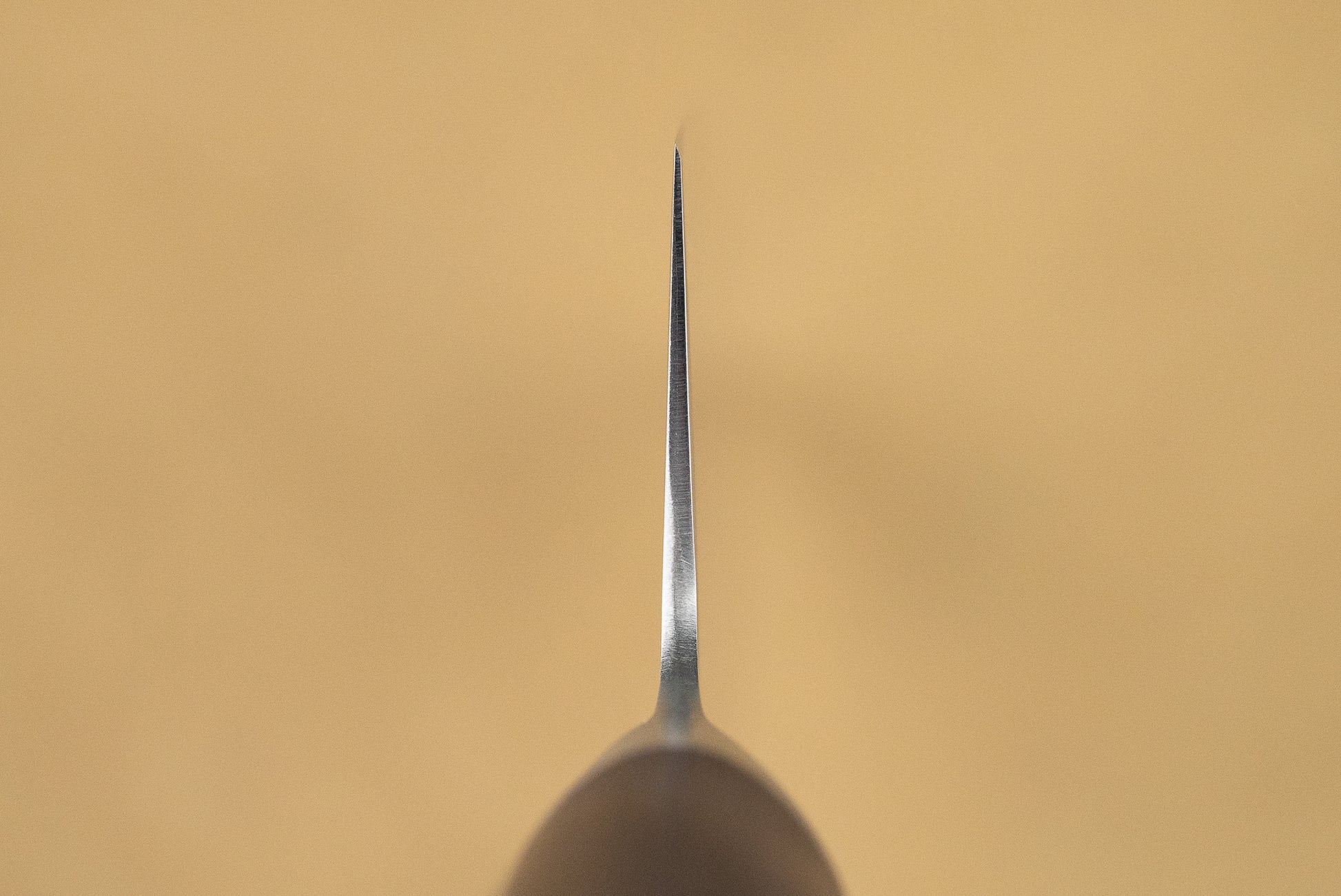 Shizu Hamono Shikisai Miyako Gyuto 210mm from Shizu Hamono