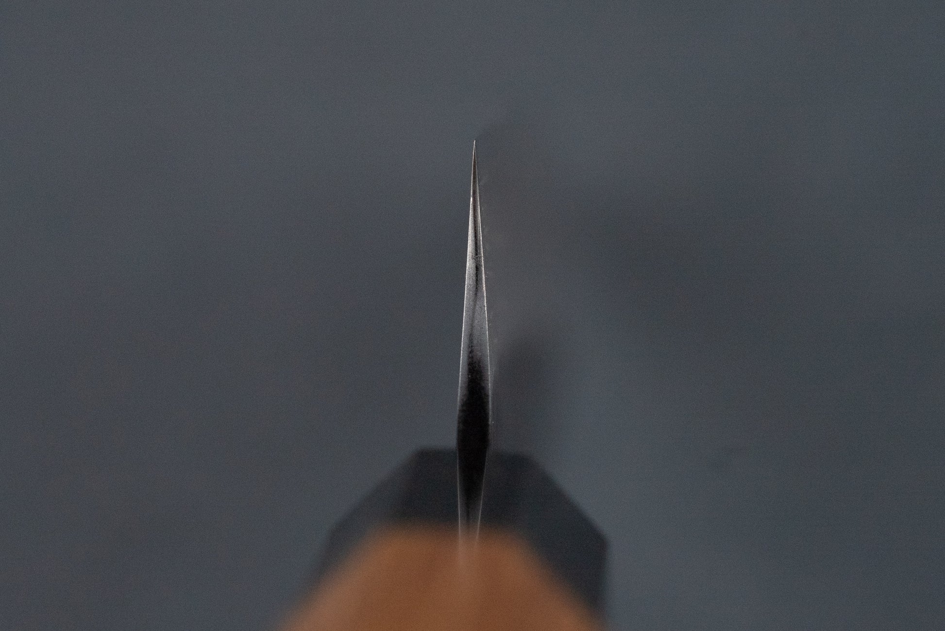 Macro view of the Nigara SG2 Kurouchi Tsuchime Petty 150mm knife's razor-sharp edge, showcasing its precision craftsmanship. The handle and bolster are blurred, highlighting the blade's fine detail.