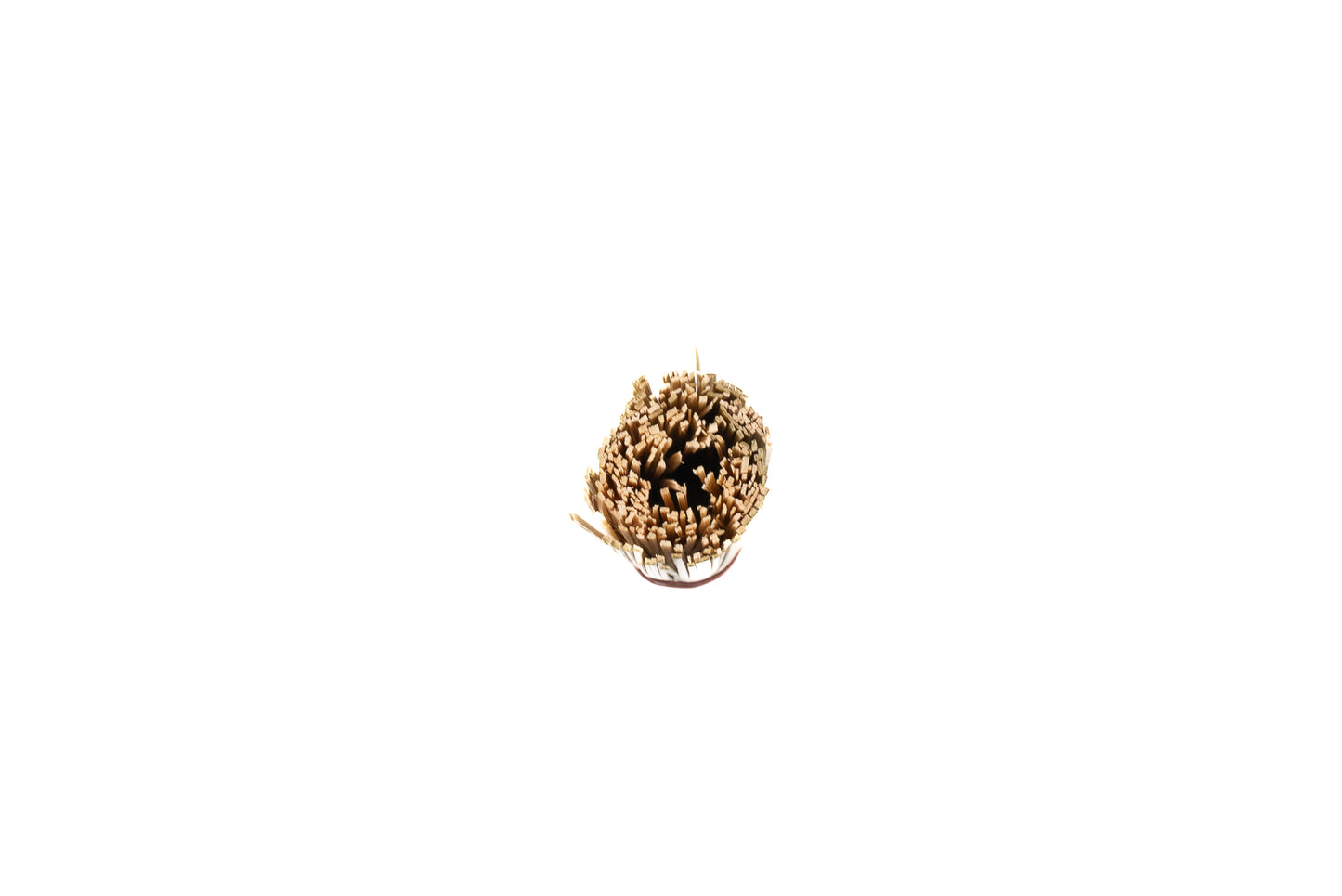 Sasara Bamboo Scrubbing Brush from Senshu