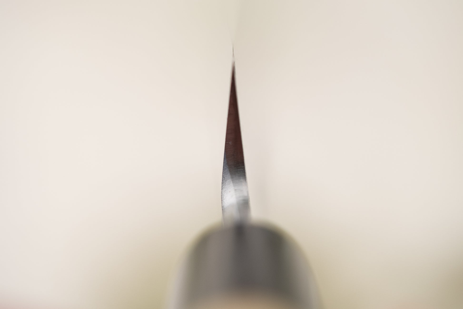 Sakai Takayuki Tokujo Shirogami Yanagiba 300mm from Sakai Takayuki