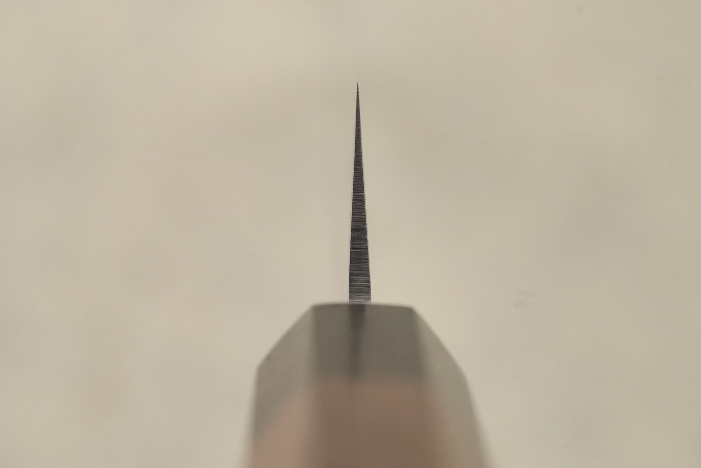 Touroku Sakai Yukage Sujihiki 240mm knife blade close-up, showcasing its razor-thin edge tapering to a sharp tip, perfect for precise slicing, embodying Japanese craftsmanship excellence.