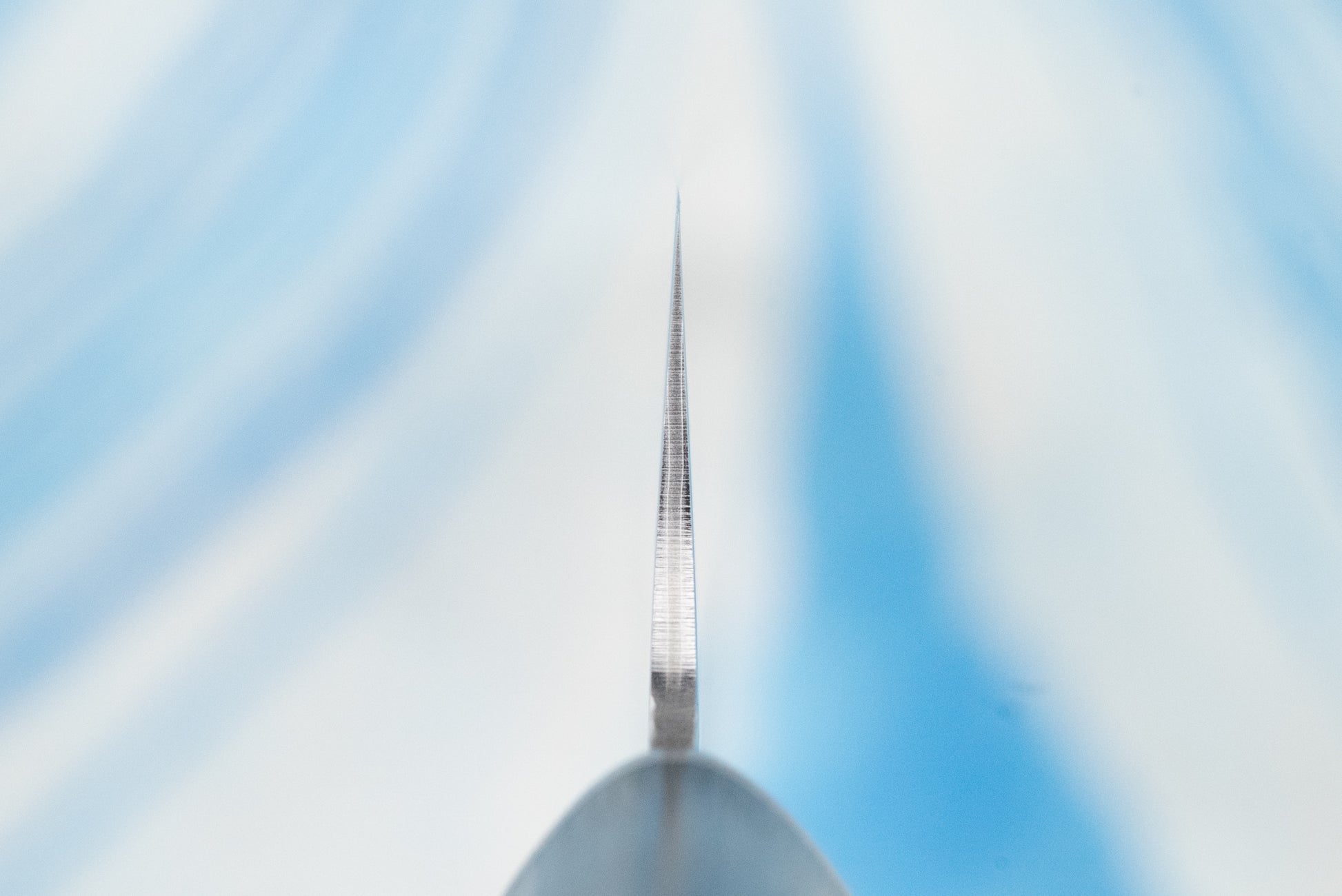 Touroku Sakai Gekka Ko-Bunka 150mm blade's spine and tip, captured in an extreme close-up, highlighting its precision craftsmanship and razor-sharp VG10 stainless steel, embodying Japanese knife-making excellence.