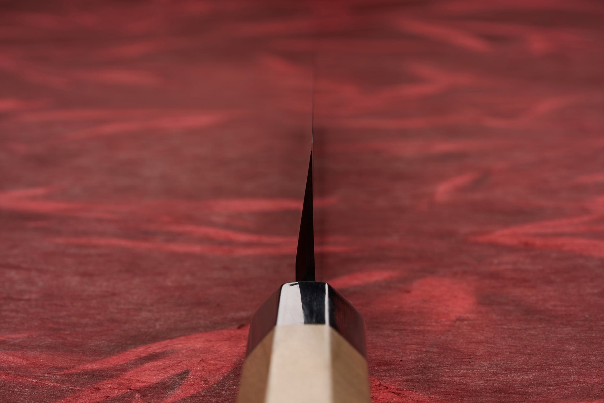 Touroku Sakai Tohwa Shirogami Kiritsuke Yanagiba 300mm knife, with a sharp, single bevel blade, shown from a low-angle view against a red cloth background, emphasizing its craftsmanship and precision.
