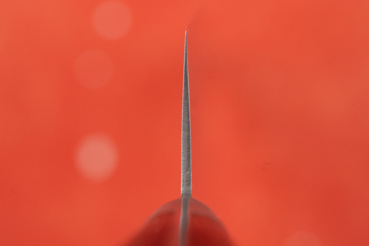 Close-up of a sharpened edge of the Tsunehisa 440C Sanjuni 参拾弐 Western Santoku 180mm T-03205 knife, showcasing its precision-designed blade for slicing, dicing, and mincing, ideal for kitchen enthusiasts.