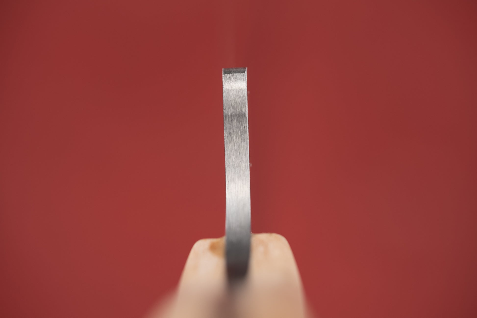 Diced Knives Fisher / Butcher 205mm from Diced Knives