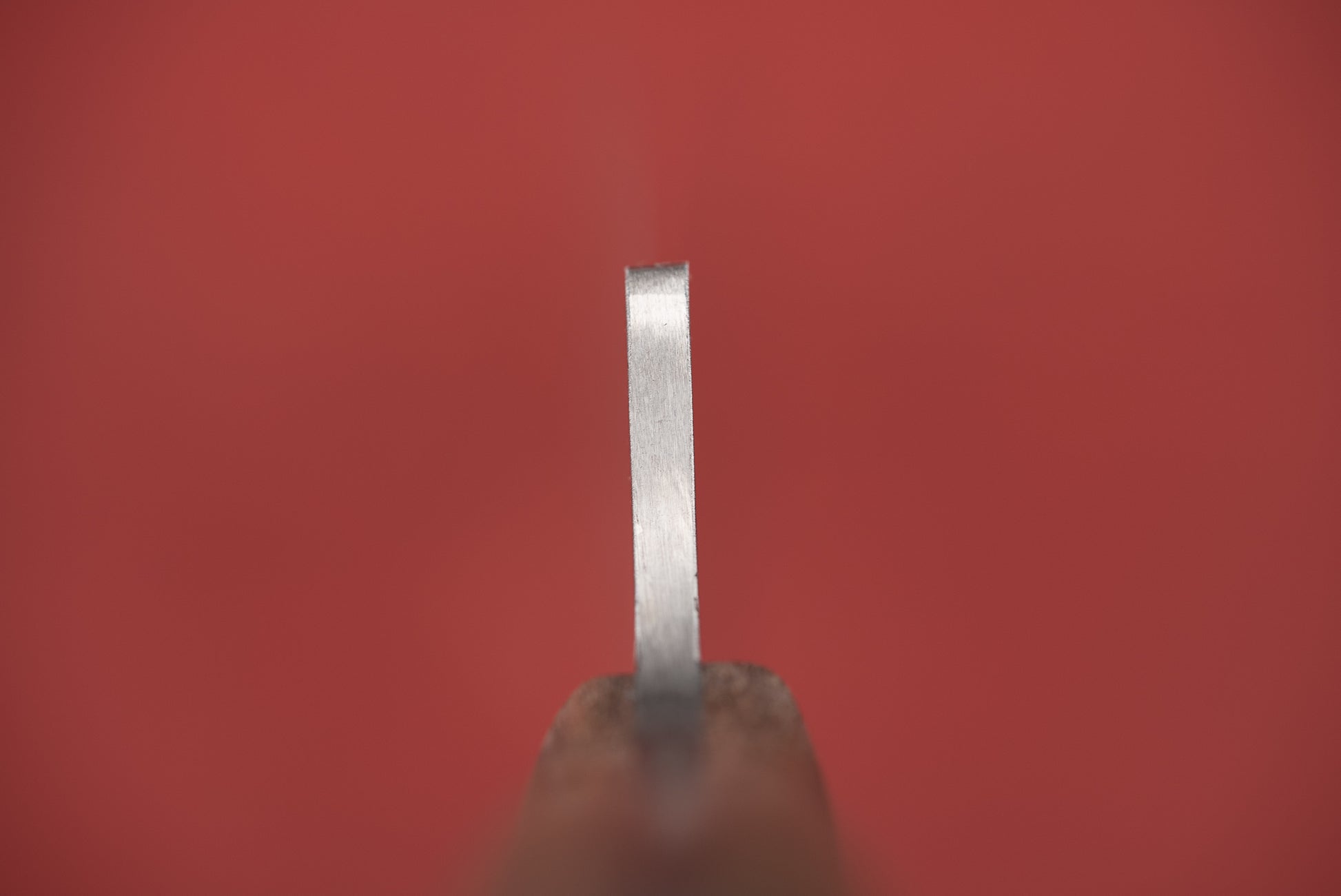 Diced Knives Fisher / Butcher 205mm from Diced Knives
