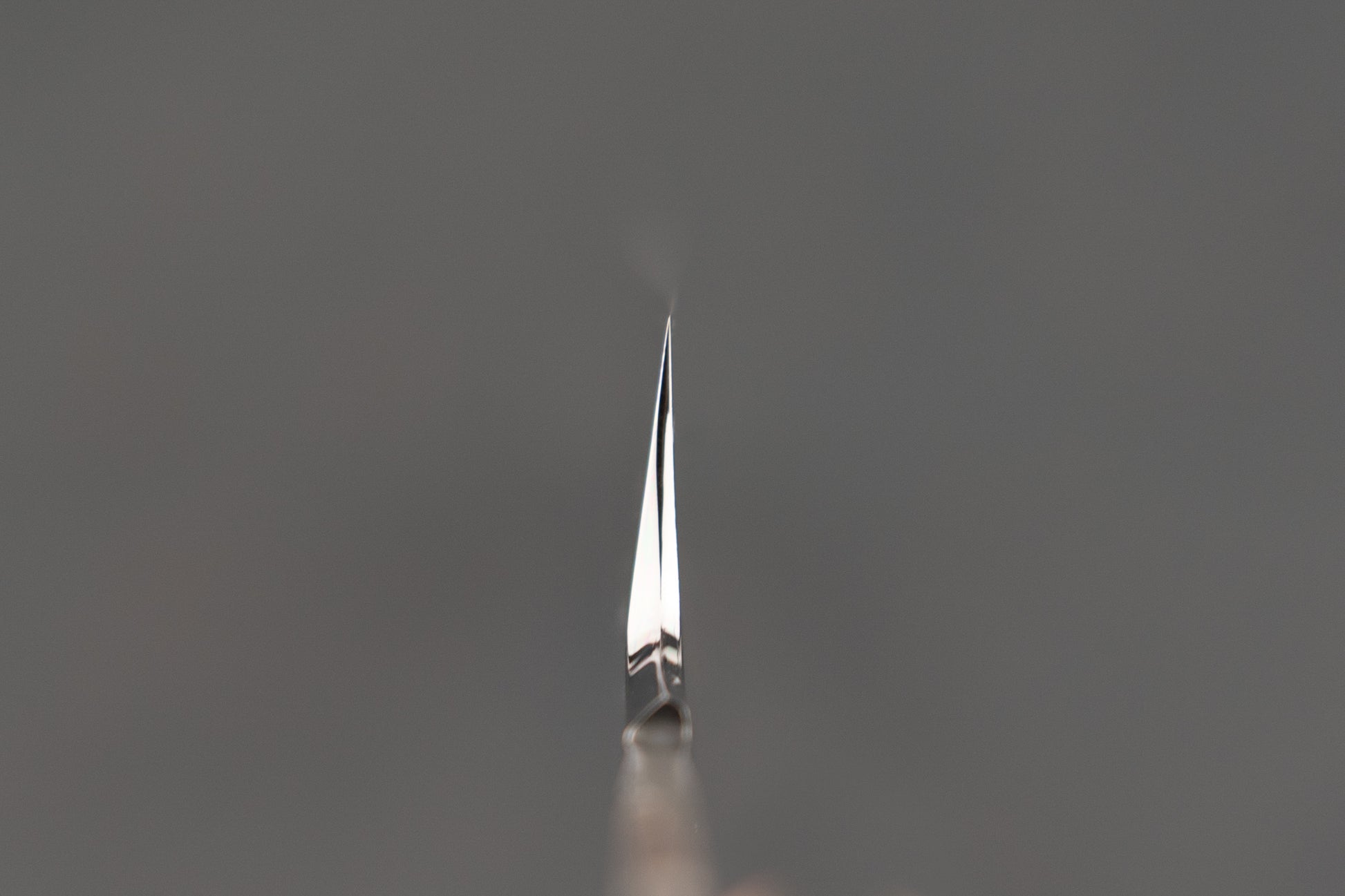 Genkai Masakuni Shiroichi Mizu Honyaki So-Kyomen Fujigakari Sakimaru Takohiki 300mm from Genkai Masakuni