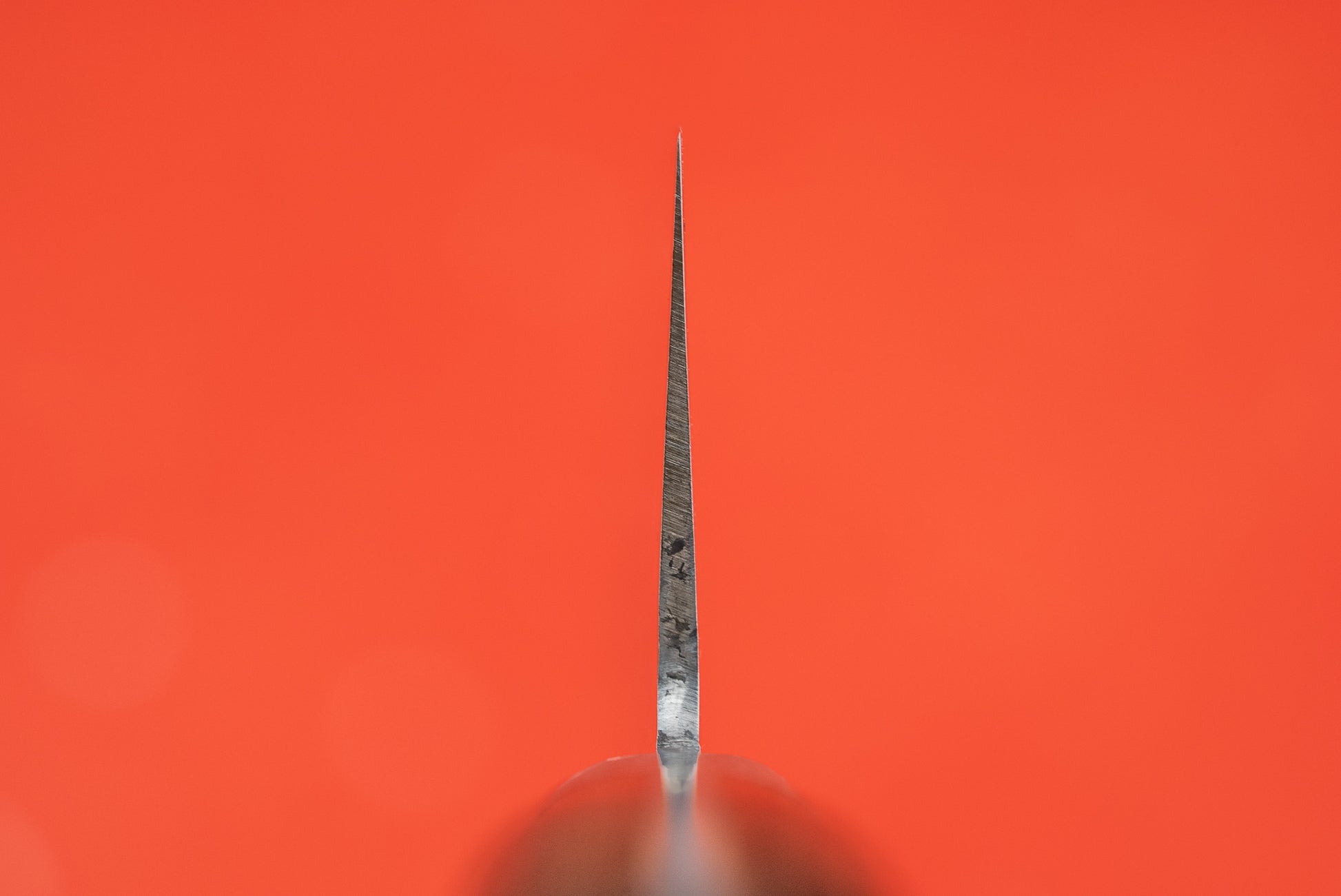 Haruyuki Goma Gyuto 210mm from Haruyuki