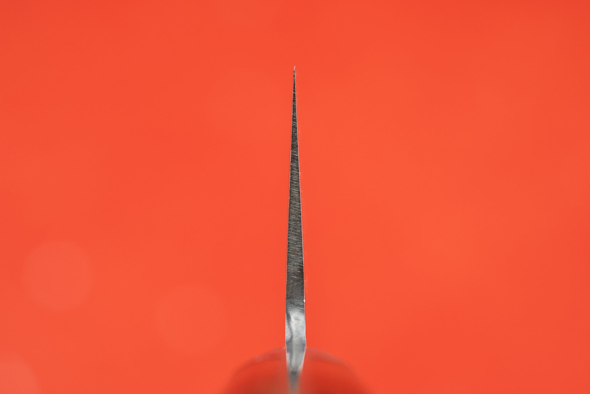 Haruyuki Goma Gyuto 240mm from Haruyuki
