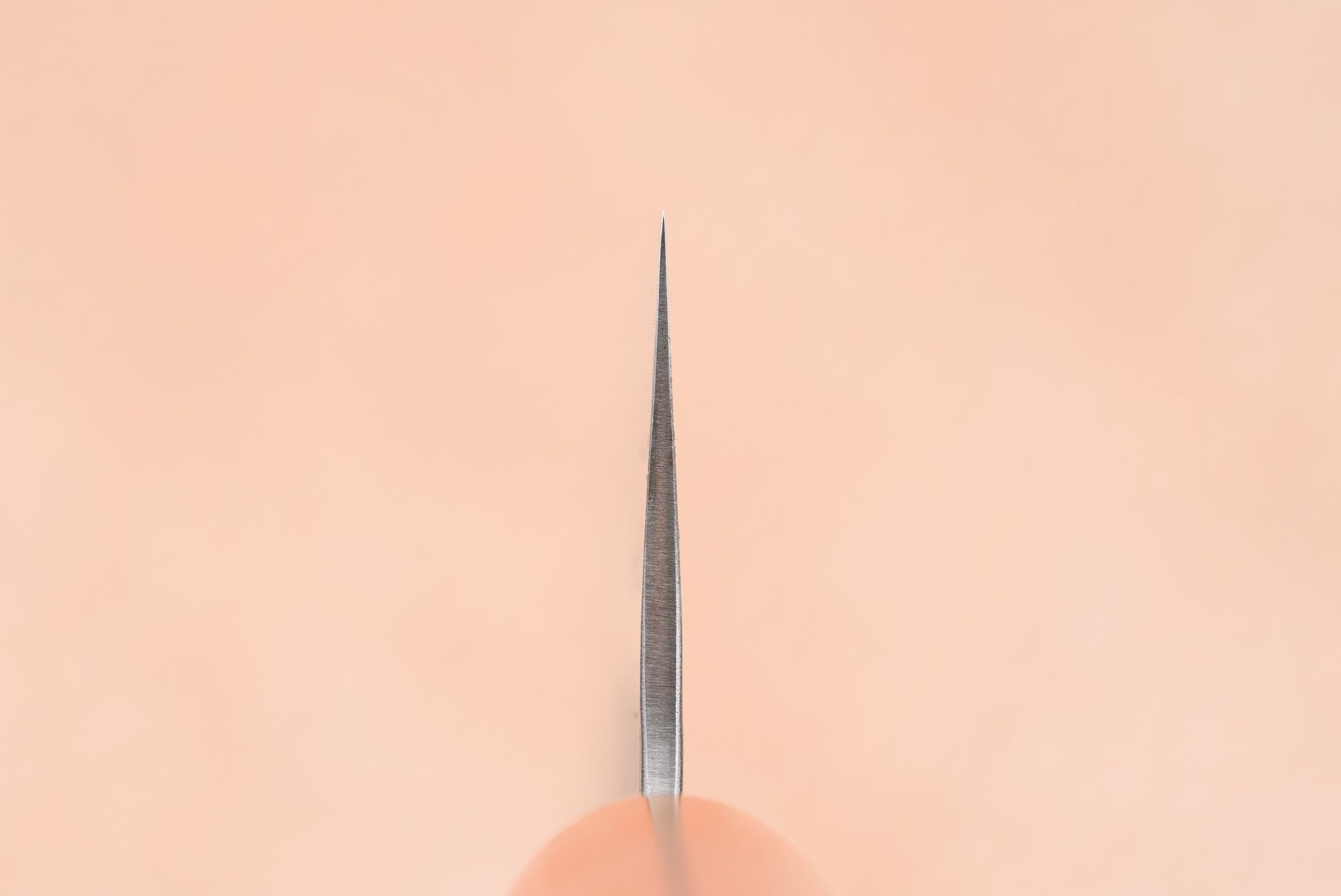 Haruyuki Nishiki Gyuto 210mm from Haruyuki