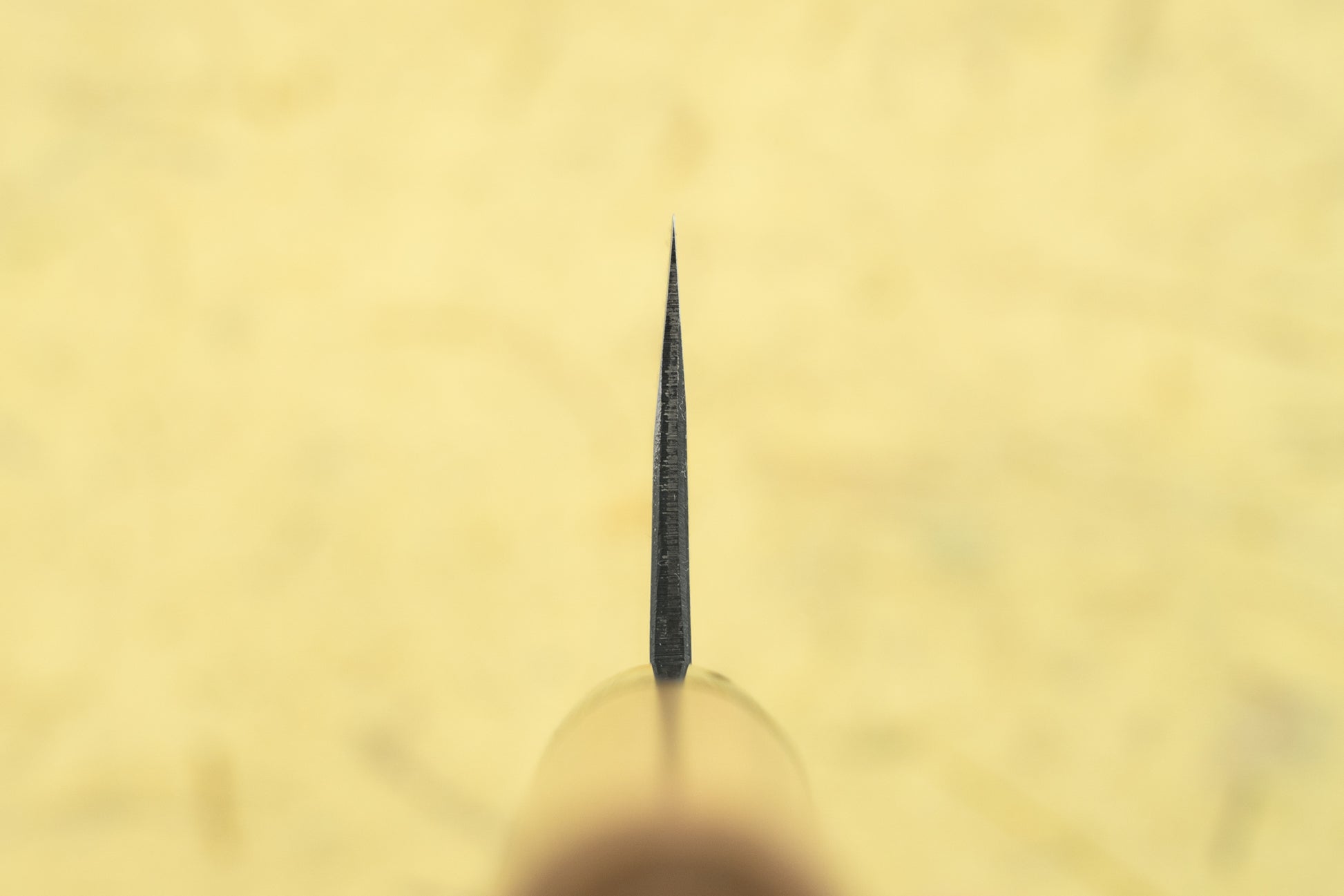 Yukihiro Sakai "Hinokuni" Shiroichi Bunka 180mm from Yukihiro Sakai