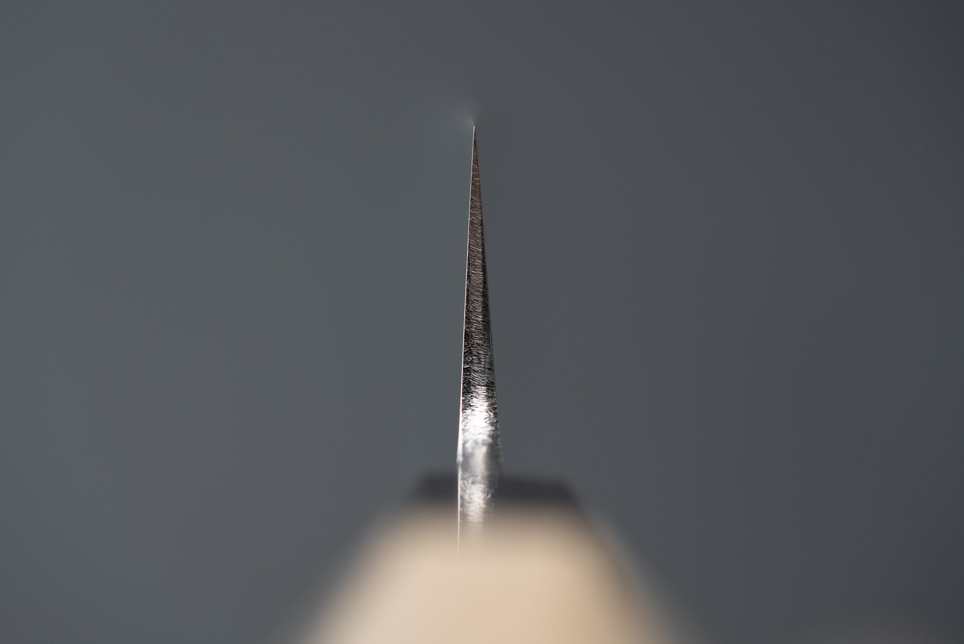 Yoshiaki Fujiwara (Kiyoshi Kato) Aoniko Migaki Sujihiki 210mm from Kiyoshi Kato
