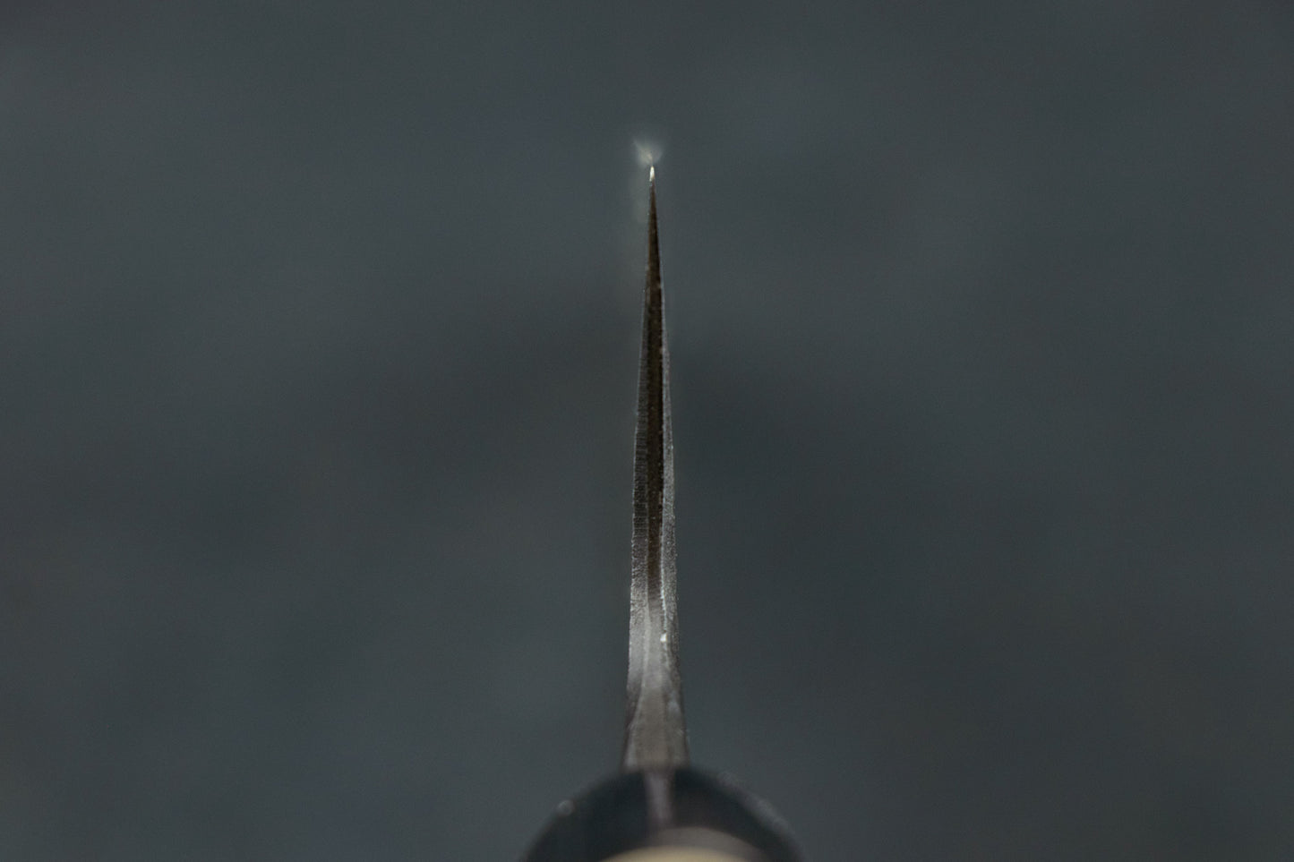 Mazaki Shirogami Nashiji Kurouchi Gyuto 210mm from Naoki Mazaki