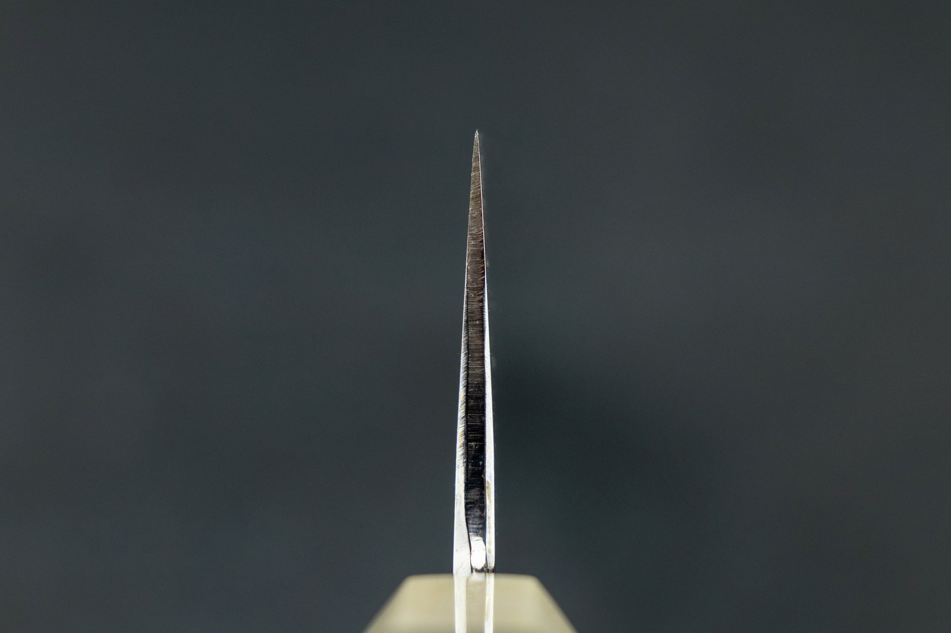 Sakai Kikumori Shiroichi Kyomen Sakachoji Honyaki Gyuto 240mm from Sakai Kikumori