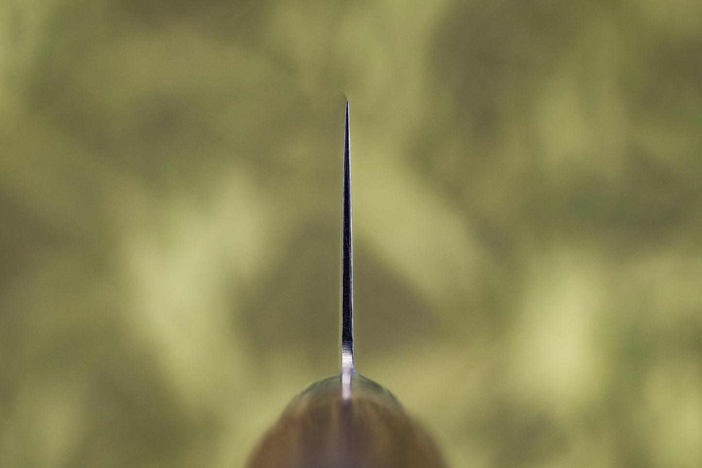 Tamahagane San Gyuto 210mm SN-1105 from Tamahagane
