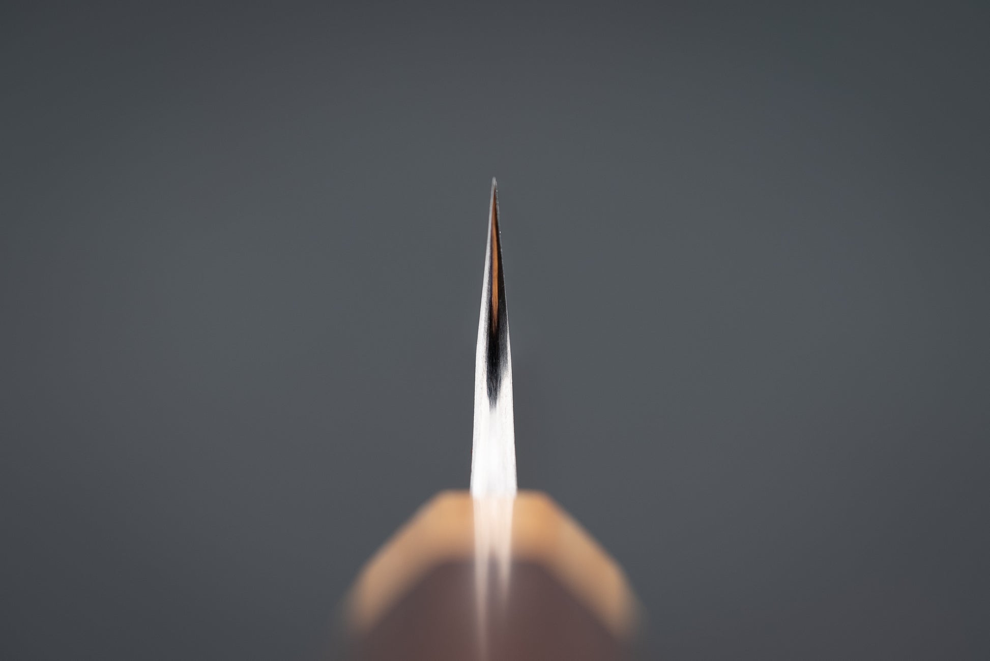Shibata Tinker Sabre Teeth 210mm from Shibata Tinker