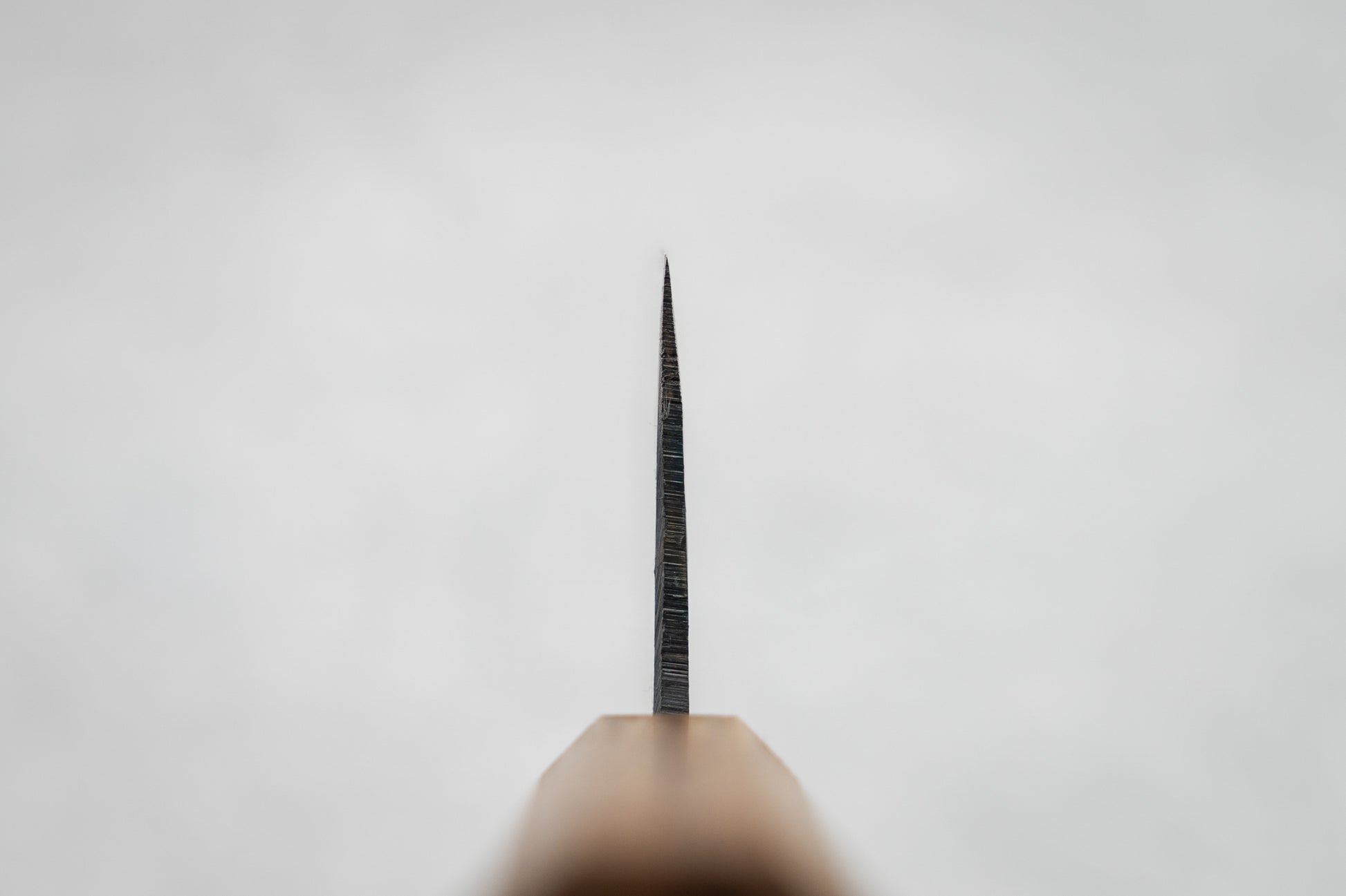 Tosa Tsukasa Shiroichi Kurouchi Nakiri 165mm from Tosa Tsukasa