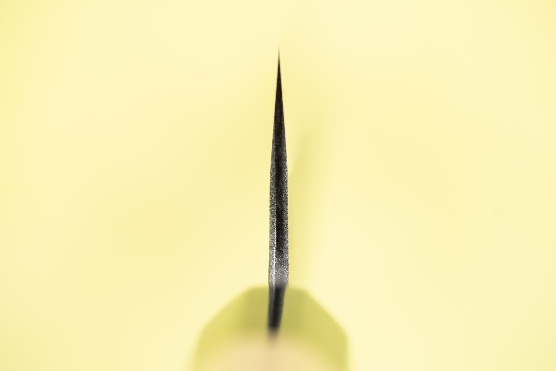 Toshihiro Wakui Aogami Honsanmai Kurouchi Nashiji Gyuto 210mm from Toshihiro Wakui