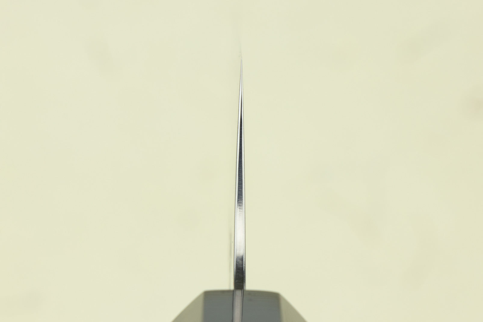 Hatsukokoro Saihyo SG2 Kiritsuke 210mm from Hatsukokoro