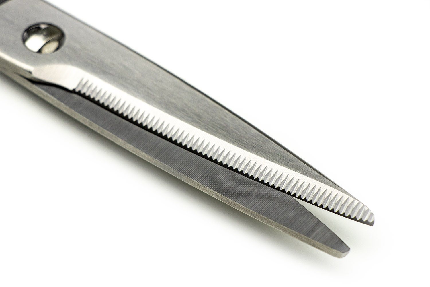Toribe Kitchen Spatter Separable Kitchen Shears from Toribe