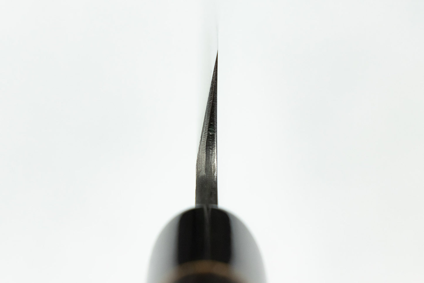 Masashi Shirogami Kuroshu Sakimaru Takobiki 300mm from Masashi Yamamoto