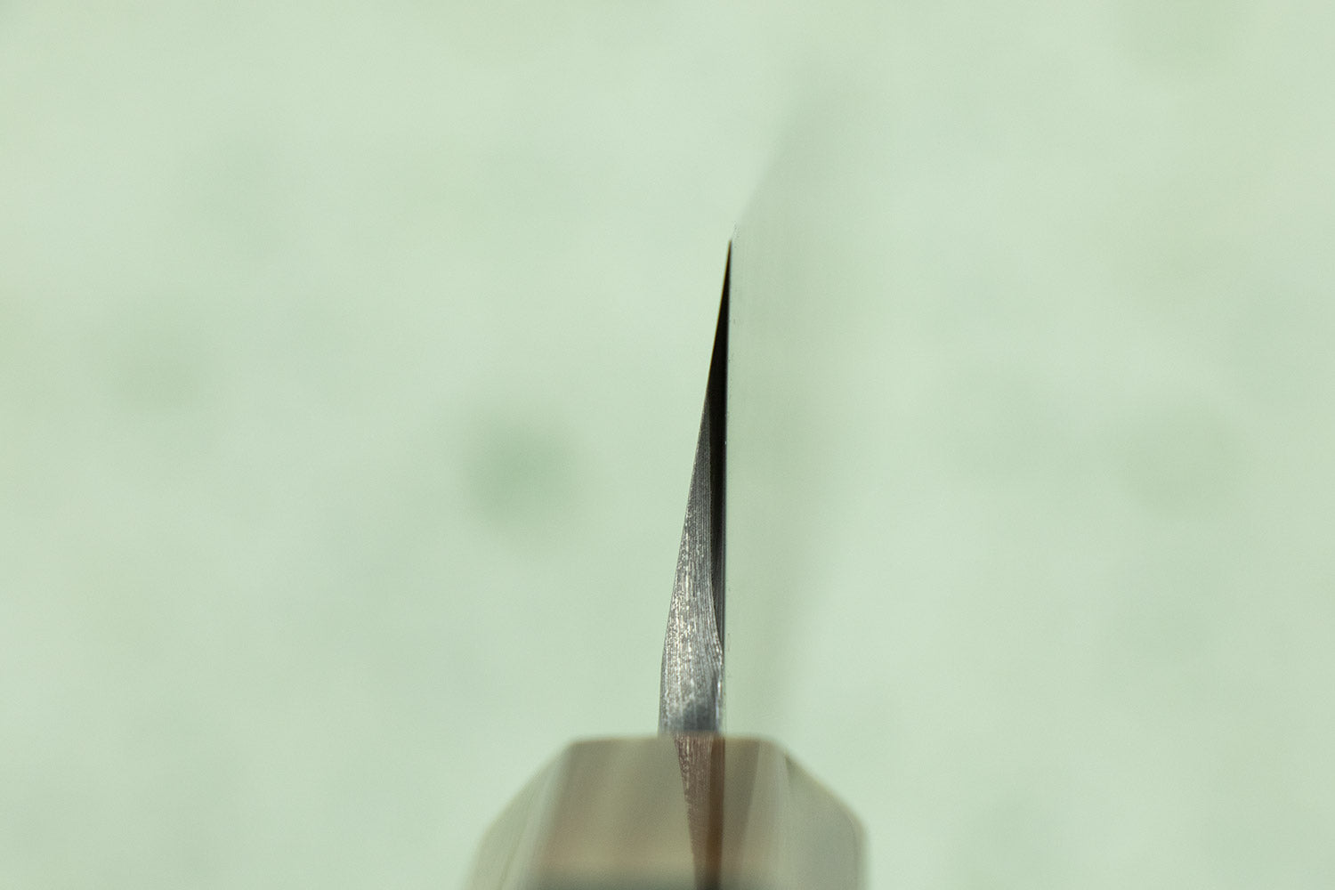 Nigara Anmon Aogami Damascus Sakimaru Takobiki 330mm from Nigara Hamono