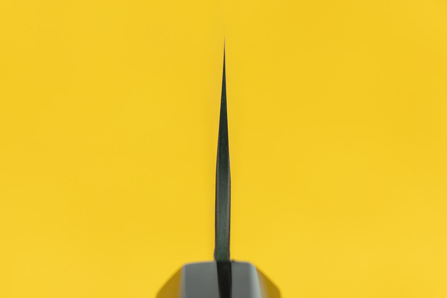 Nigara SG2 Kurouchi Tsuchime Gyuto 210mm from Nigara Hamono