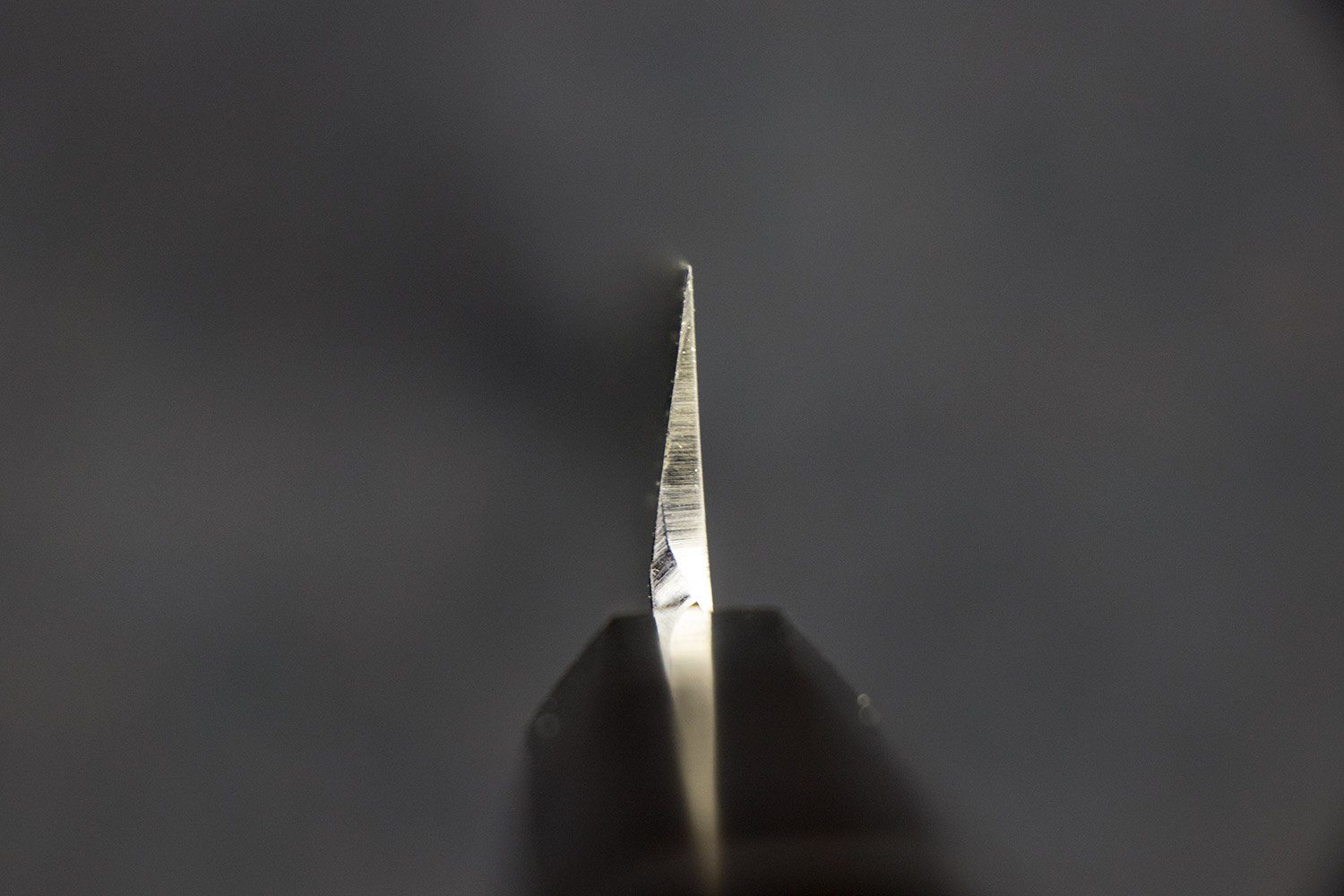 Sakai Takayuki Byakko Yanagiba 300mm from Sakai Takayuki