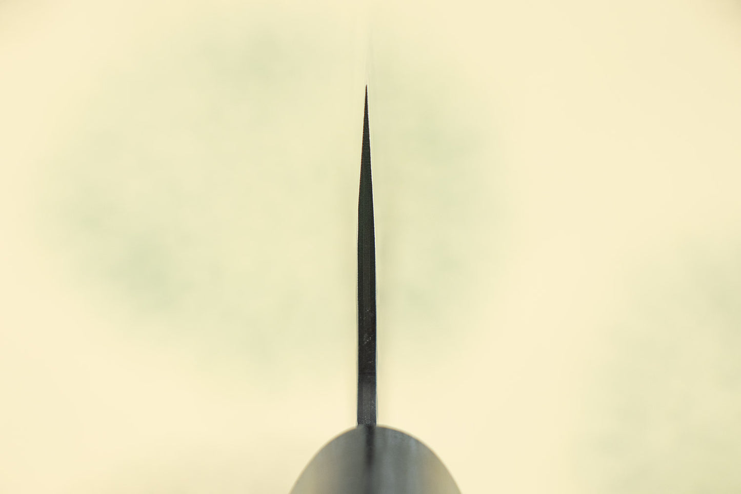 Shizu Hamono GEN Gyuto 240mm from Shizu Hamono